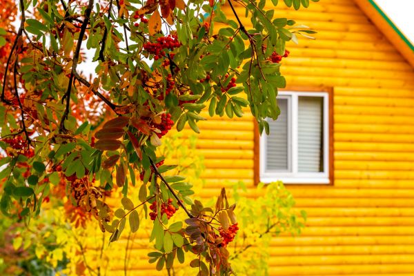 Garden Window Replacement in Bryan